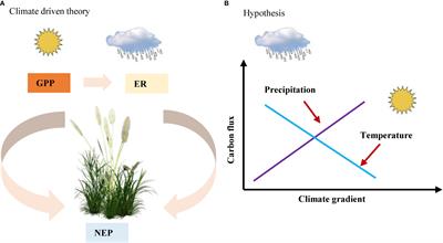 The role of climate, vegetation, and soil factors on carbon fluxes in Chinese drylands